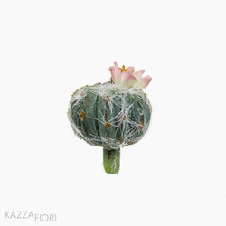 Mini Cactus Com Flor (11154)