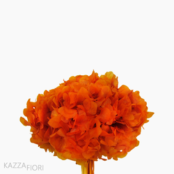 Flor de Hortência Seca Cores Sortidas - Laranja (0120157)