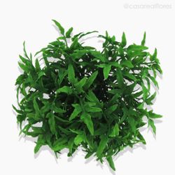 Pick Maple Artificial - Verde (1578)