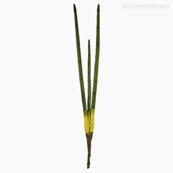 Lança São Jorge M Artificial - Verde (11419)