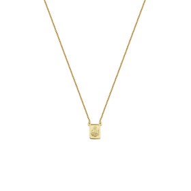Imagem do produto Escapulário Santo Antônio Folheado a Ouro 18k