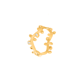 Imagem do produto Anel Aro Fino Galhos e Pontos de Luz Folheado a Ouro 18k