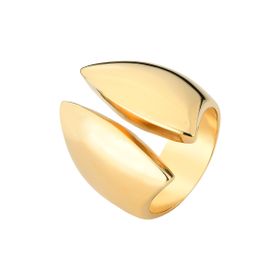 Imagem do produto Anel Geométrico Grande Vazado Liso Folheado a Ouro 18k