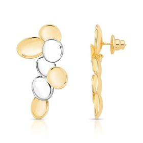 Imagem do produto Brinco maxi round duo mix de banhos folheado a ouro 18k