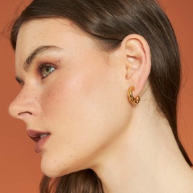 Imagem do produto Brinco Pequeno Meia Argola Fina Escamas Lisas Folheado a Ouro 18K