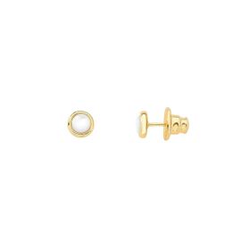 Imagem do produto Brinco Redondo Madreperola Folheado a Ouro 18K