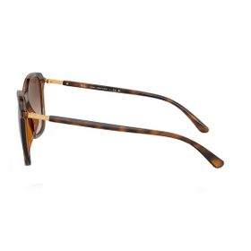 Imagem do produto Óculos Solar  Ray-Ban Quadrado Polido Havana-escuro Injetado