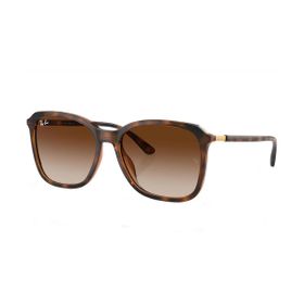 Imagem do produto Óculos Solar  Ray-Ban Quadrado Polido Havana-escuro Injetado