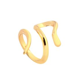 Imagem do produto Anel Snake Aberto Liso Folheado a Ouro 18K