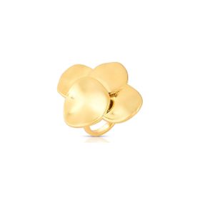 Imagem do produto Anel Crushed Glam Folheado a Ouro 18K