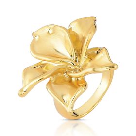 Imagem do produto Anel Flor Fosca Folheado a Ouro 18K