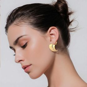 Imagem do produto Brinco de Curvas Cravejado de Zircônia Fosco Folheado a Ouro 18K