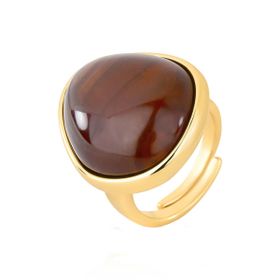 Imagem do produto Anel com Resina Marrom Coffe Aro Liso Folheado a Ouro 18K