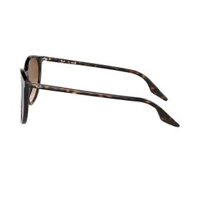 Imagem do produto Óculos Solar Ray-Ban Phantos Havana Acetato