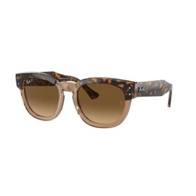 Imagem do produto Óculos Solar Ray-Ban Quadrado Havana Propionato