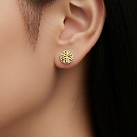 Imagem do produto Brincos Chuveiro Flor com Pontos de Luz Folheado a Ouro 18K
