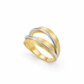 Imagem do produto Anel Aro Duplo Liso com Dois Fios em Ouro Branco em Ouro 18K