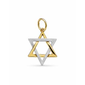 Imagem do produto Pingente Estrela de Davi Liso e Cravejado em Ouro Branco e Ouro 18K