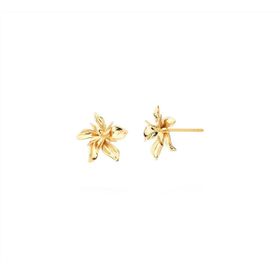 Imagem do produto Brinco de Flor Liso Folheado a Ouro 18K
