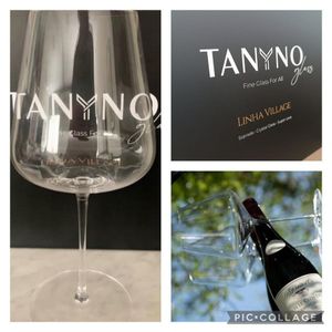 Jogo de 6 Taças Tanyno Linha Village Universal 530ml. 