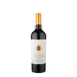 Clos de Los Siete Valle de Uco