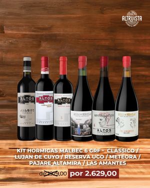 KIT  6 GARRAFAS  DIVERSSAR  VINICOLA  ALTOS LAS HORMIGAS 