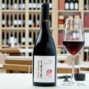 Vinho Maria Maria GAYA Gran Reserva Syrah