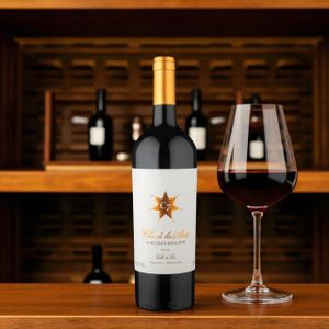 Clos de Los Siete Valle de Uco