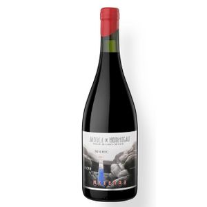 Altos Las Hormigas Jardín de Hormigas Meteora Malbec