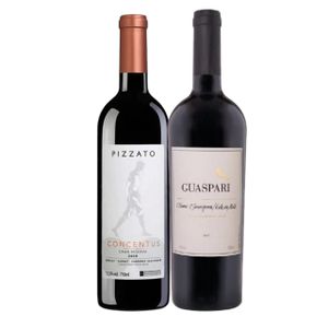 KIT BRASIL  1 - VINHO GUASPARI  VISTA DA MATA + 1  - Vinho  Pizzato Concentus