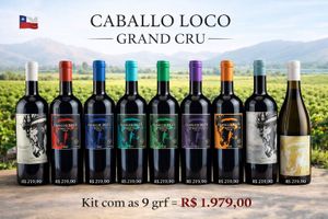 kit coleção  com  9  Garrafas caballo locco Grand Cru
