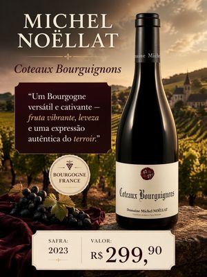 Domaine  Michel Noellat Coteaux Bourguignons Rouge