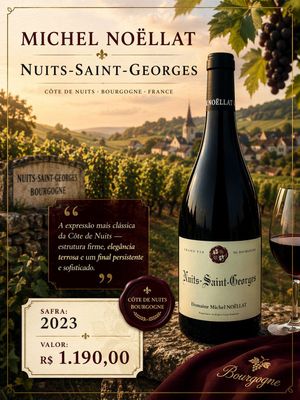 Domaine Michel Noellat Nuits-Saint-Georges AOC