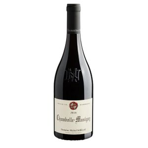 Domaine Michel Noellat Chambolle Musigny