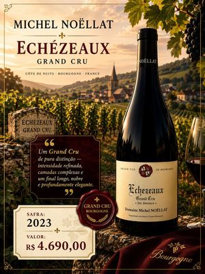 Domaine Michel Noellat  Echezeaux grand cru 