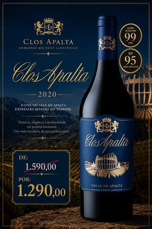 VINHO CLOS APALTA  750ML  SAFRA 2020