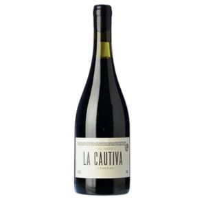 Michelini Mufatto La Cautiva Malbec - RP 94+