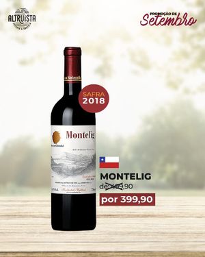 Viña von Siebenthal Montelig