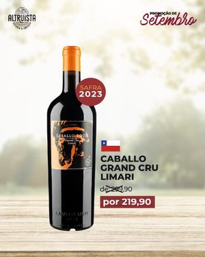 Caballo Loco Grand Cru Limari