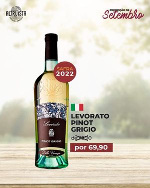 Vinho Levorato Pinot Grigio Doc 750ml
