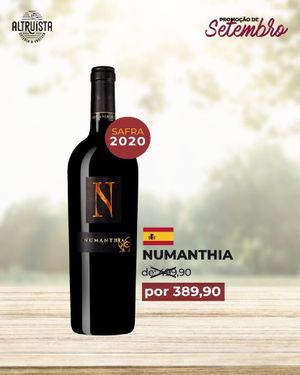 Vinho Tinto Numanthia Tinto de Toro