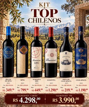 KIT 6 GFAS TOP CHILENOS DIVERSOS