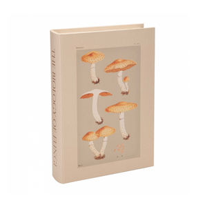 Foto do produto Caixa Livro Fungi G