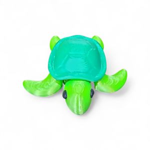 Mini Tartaruga