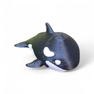 Mini Orca