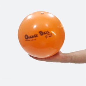 Foto do produto Overball Bola Para Pilates Funcional Orange Ball 26cm Carci