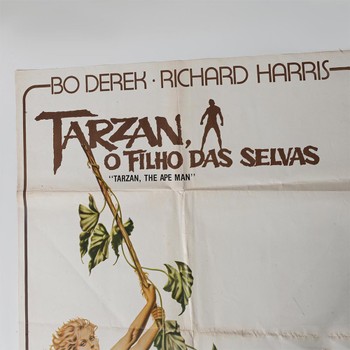 Foto do produto Poster Tarzan - O filho da Selva 
