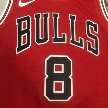 Foto do produto Regata NBA Chicago Bulls Nike Icon Edition 22/23 Jersey Zach Lavine 8
