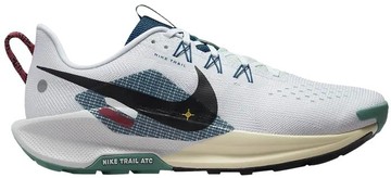 Foto do produto Tênis Nike Pegasus Trail 5 Court Blue Cedar