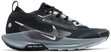 Foto do produto Tênis Nike Pegasus Trail 5 GORE-TEX Black Wolf Grey